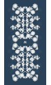 Elegante - 1549 UM